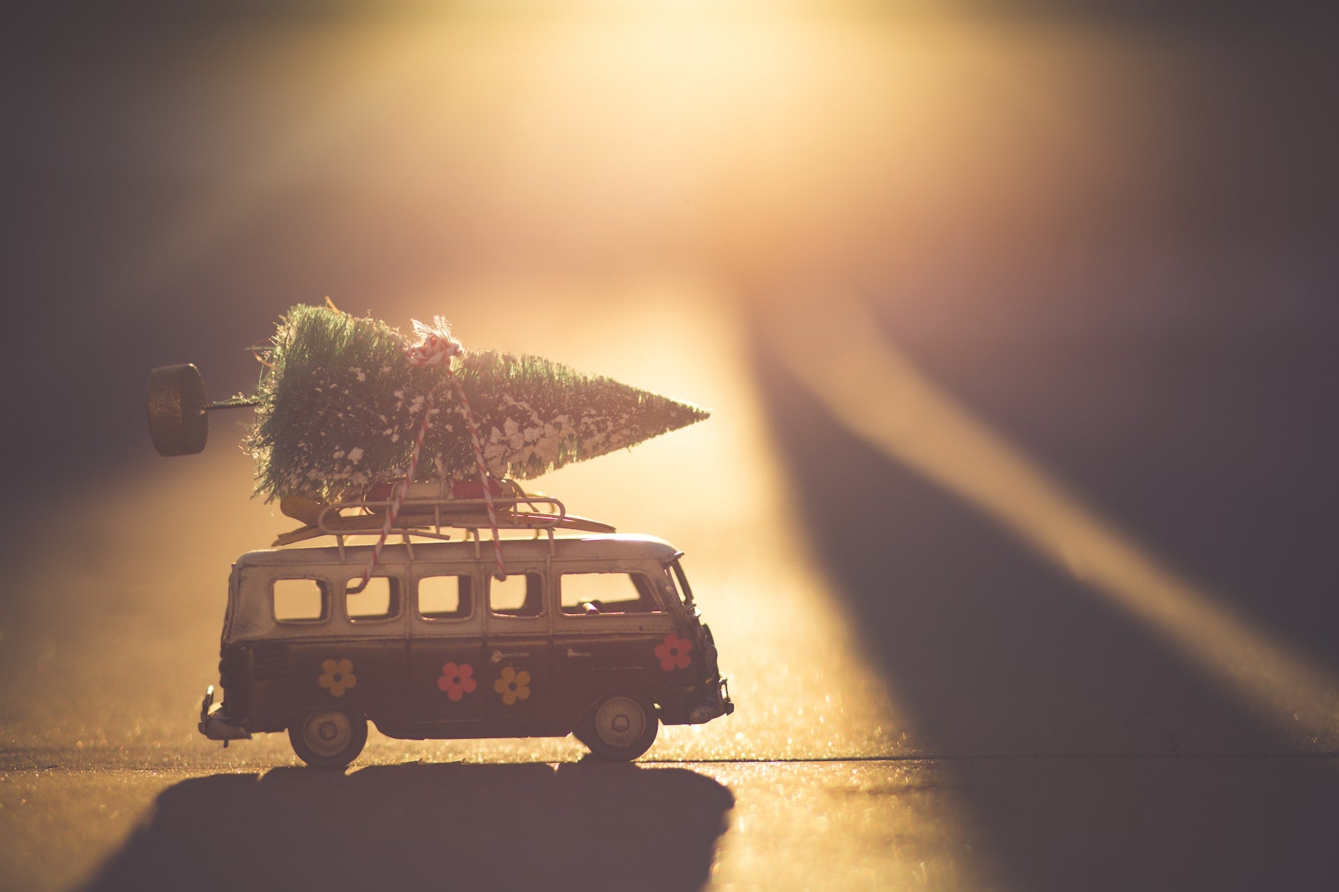 winter travel