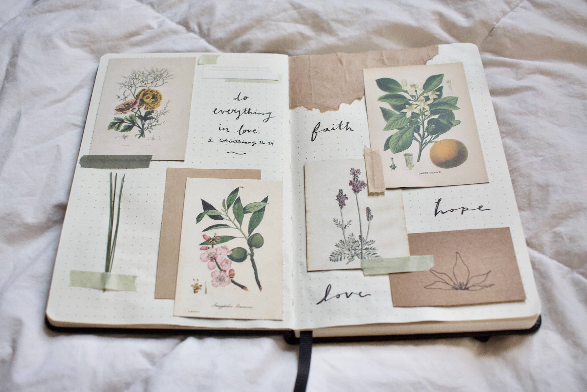 Dear Diary: The Write Way to Journal - Project Best Life