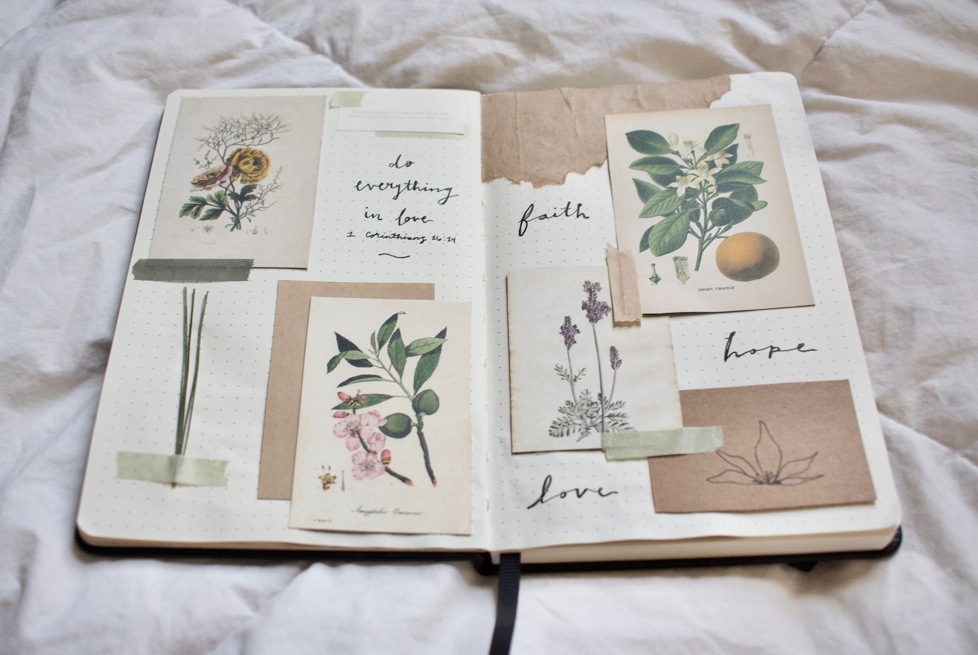 examples of diary entry 