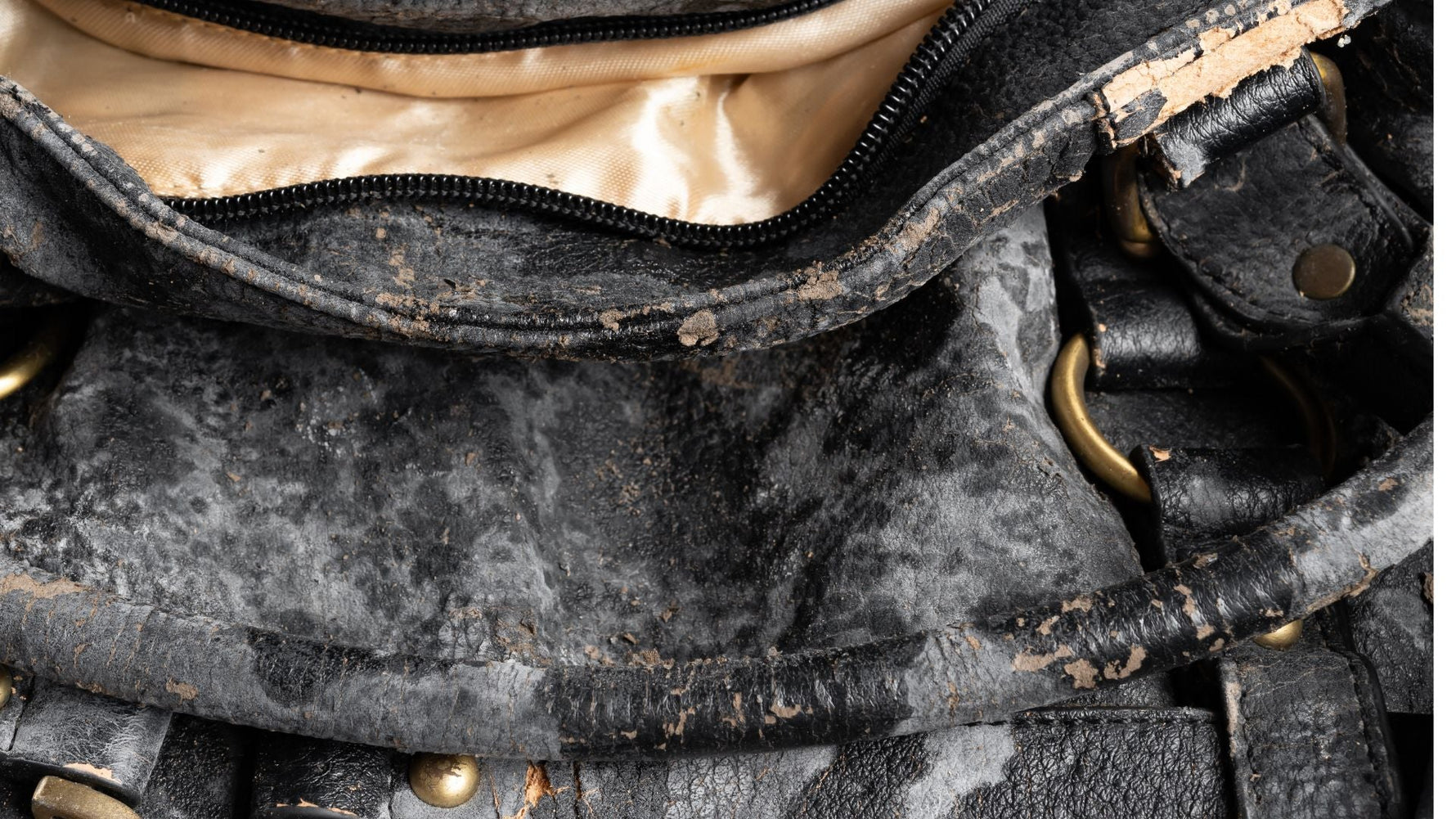 how to remove mold from leather